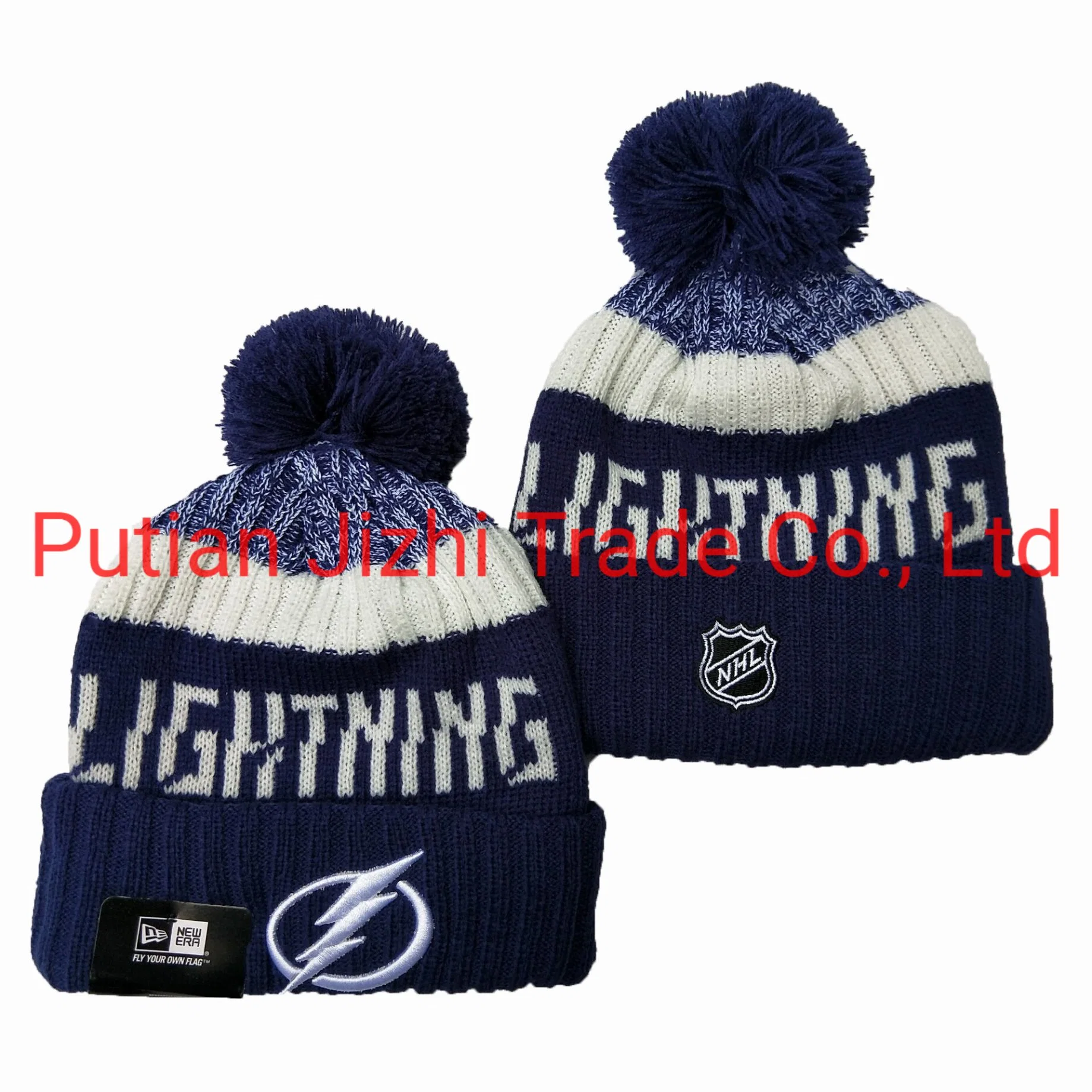 Wholesale/Supplier Beanies Hats Tampa Bay Lightning Knit Winter Cap Dalls Stars Florida Panthers with POM