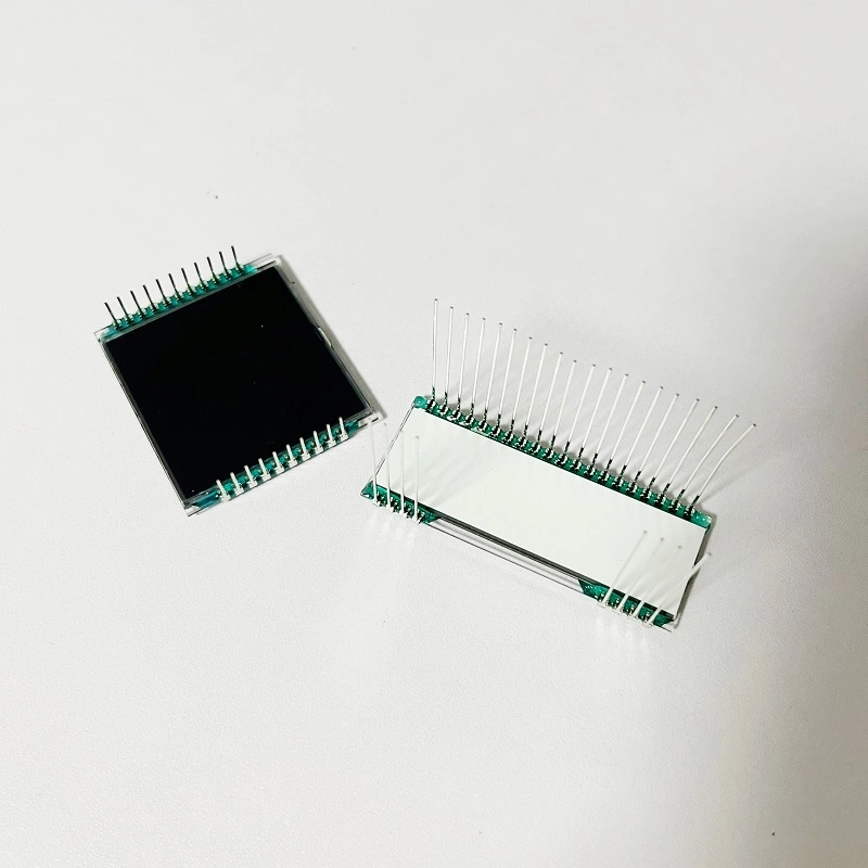 1 Digit Segment LCD Screen