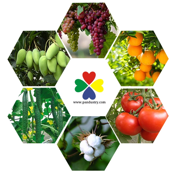 هرمونات النبات زياتين 99% TC للبيع في المبيدات الحشرية