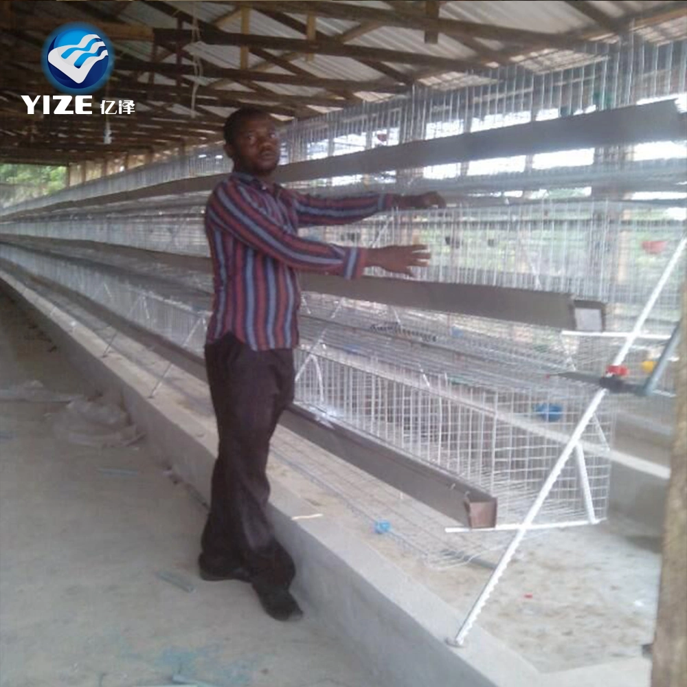 Layer Chicken Cage with Automatic Poultry Farm Feeding System