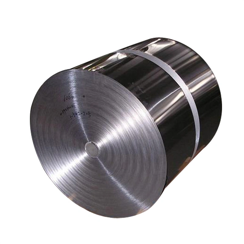 Ss Sheet Plate SS304 SS304L Ss321 Ss321ti SS316 SS316L Ss316ti Ss310s 2b 8K Ba Stainless Steel Coil Strip Home Appliance Resistant Corrosion304 Stainless Steel