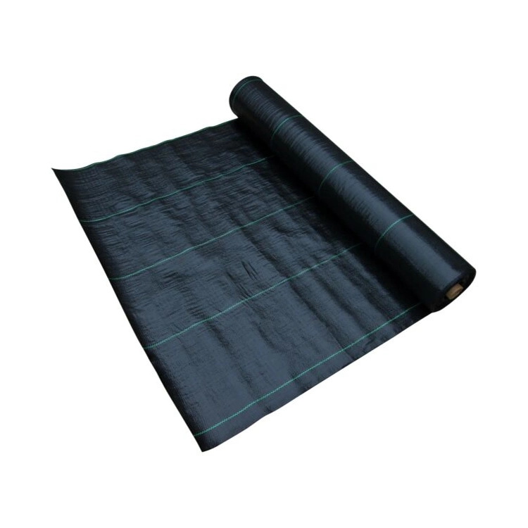 Faible prix 1m X 50m Weedmat Weed Control mat 100gsm Weedbarrier PP du tissu en plastique