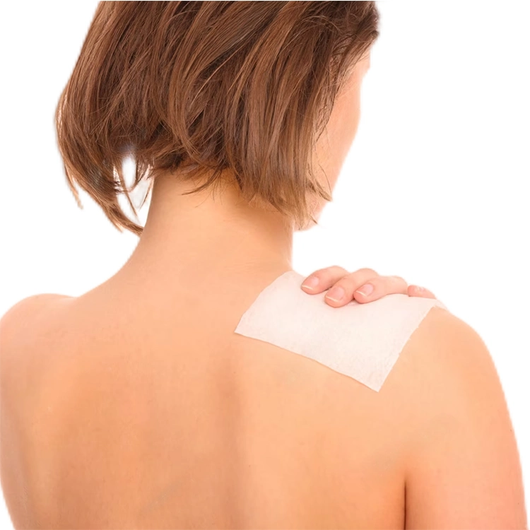 The Muscle Soreness Back Pain Joint Pain Bruises Pain Relief Patch with 5% Menthol Cooling for Sport Therapy