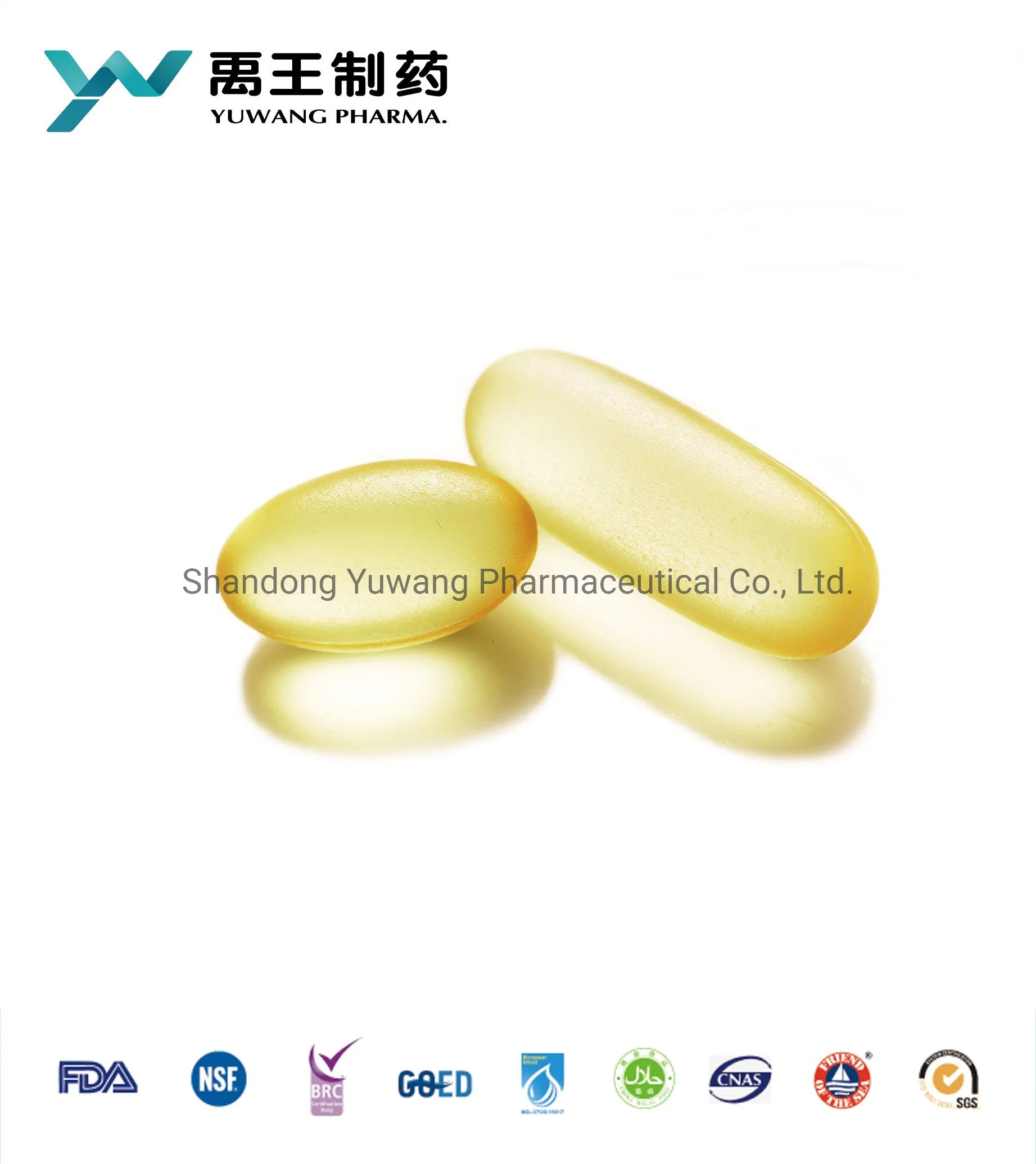 GMP Factory Bulk Packing Enteric Coated Fish Oil Softgel Capsule