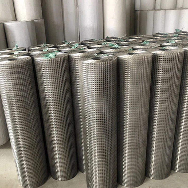 Hot Dipped Galvanized Fencing Iron Netting 10 Gauge Steel Welded Wire Mesh for Rabbit Bird Animal Pet Cages