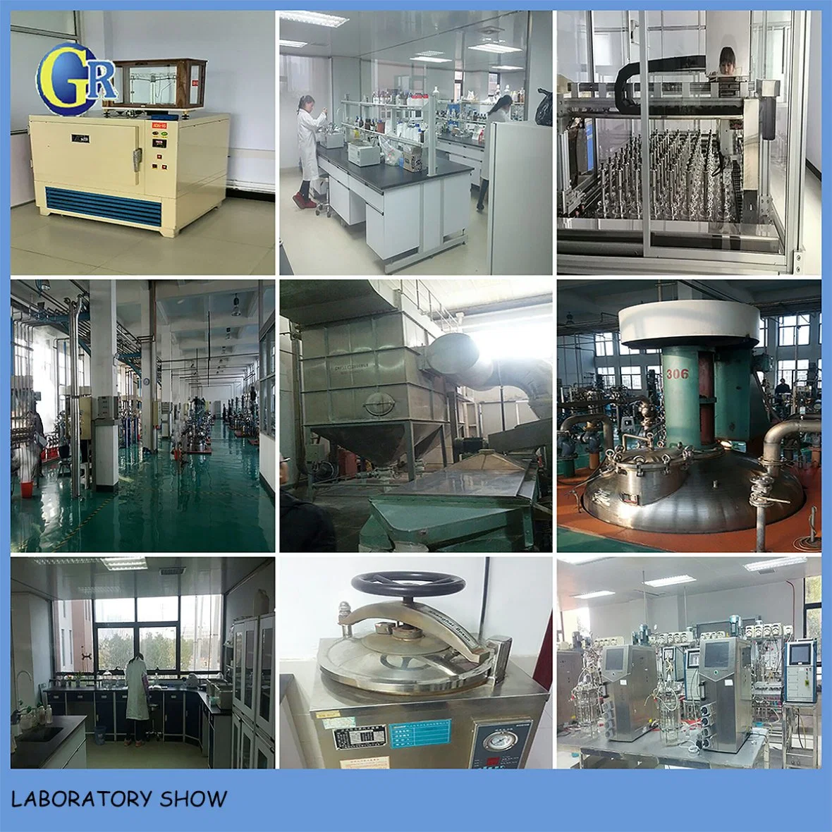 Textile Auxiliaries Decoloring Agent with Textile and Dyeing Waste Water Gr-F112