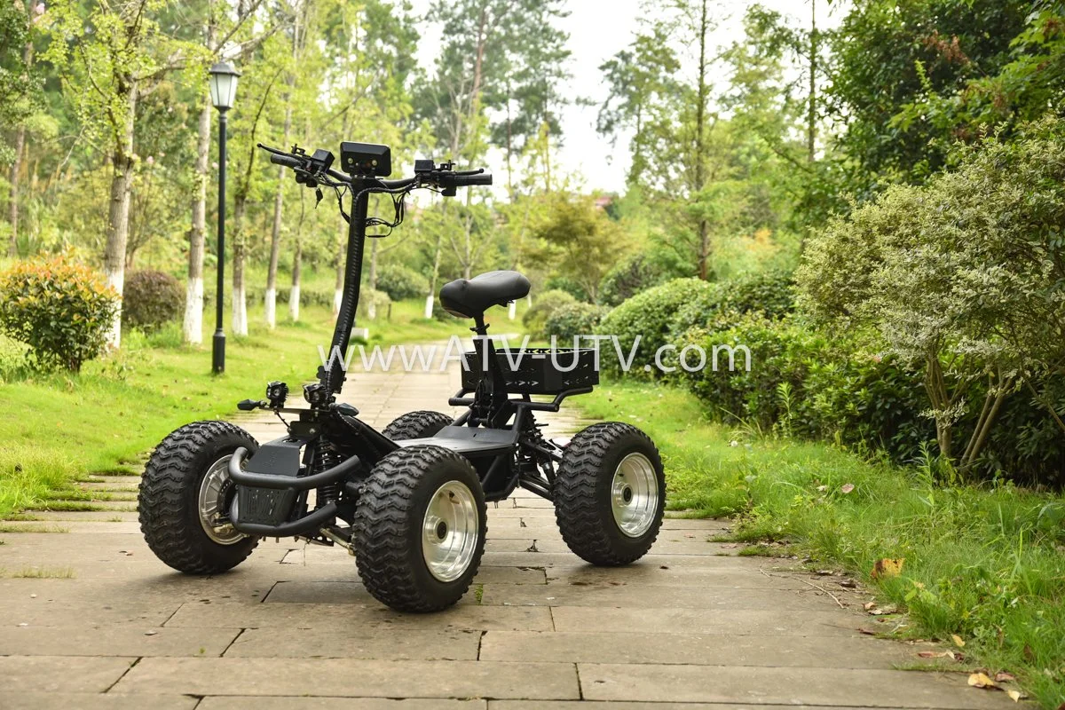 4000W 6000W 8000W 4X4 Off Road 4WD Elektro-Skateboard EEC Allrad-Roller 5000W/8000W