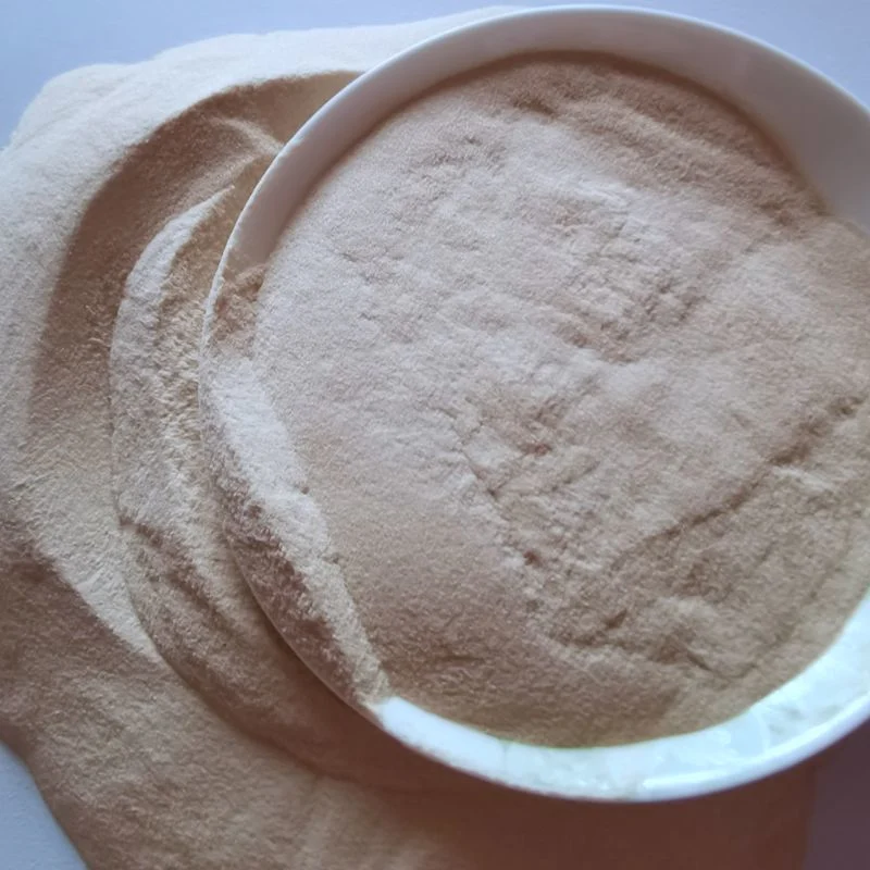 Factory Price Food Additive Xanthan Gum Powder for Food Use