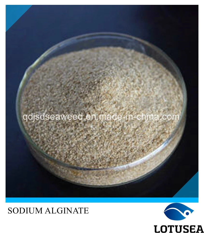 Textile Grade Reactive Dye Use Sodium Alginate 30mesh 1%1500cps