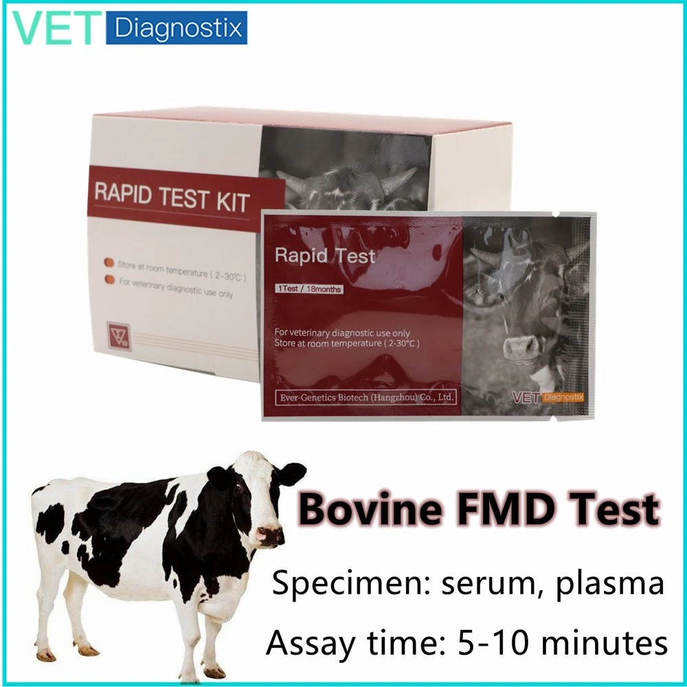 Fmd Test Foot and Mouth Disease Virus Non-Structural Protein Antibody Rapid Test (FMD NSP Ab)