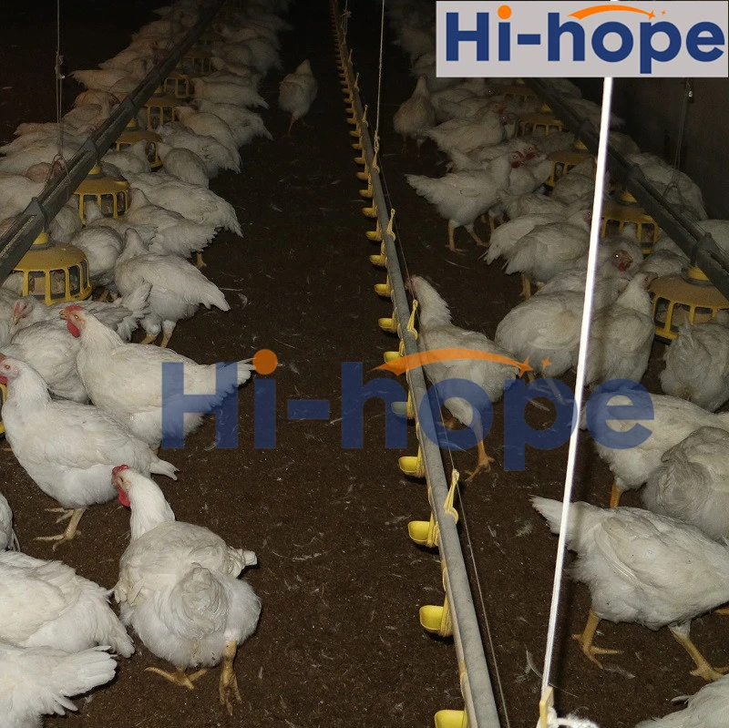 Hi-Hope Nipple Automatic Chicken Farm Drinking System