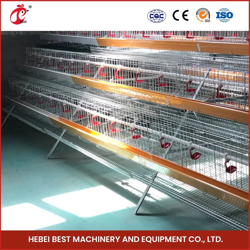 Bestchickencage un Tipo Pullet Coop jaula de Breeder jaula China Home Muestra gratuita de la fábrica de copos de pollo para bebés H duradera y lavable Tipo 4 capa de la jaula de pollo del bebé/