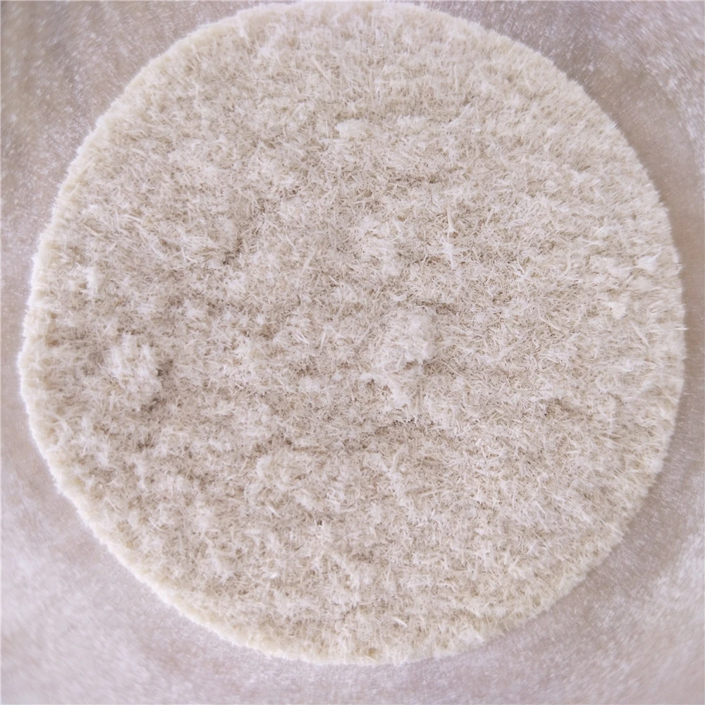 Additives Xylem Wood Fiber Cellulosic Fibers