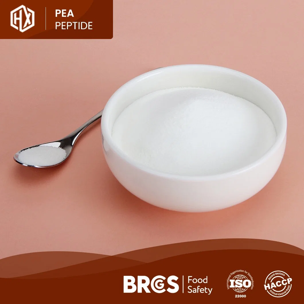 Haoxiang High Purity Water Soluble Small Molecule Pea Peptide OEM Custom Food Grade Bulk High Purity High Protein EU Organic Isolated Pea Sprout Peptide Powder