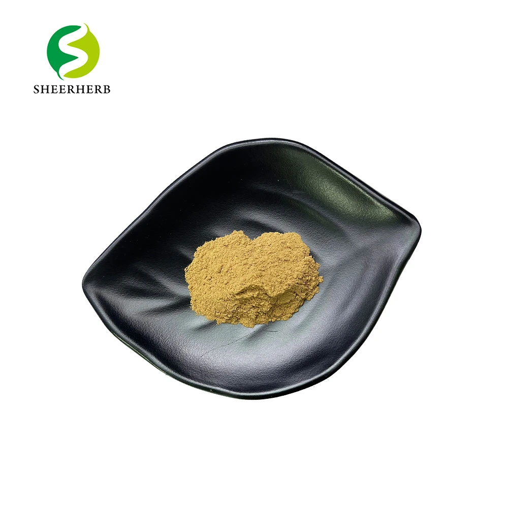 Astragalus Root Extract Powder Astragaloside IV High quality/High cost performance Astragalus