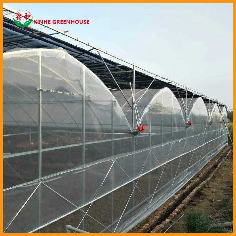 Low Cost Greenhouse Po Film Agriculture Multi Span Greenhouse