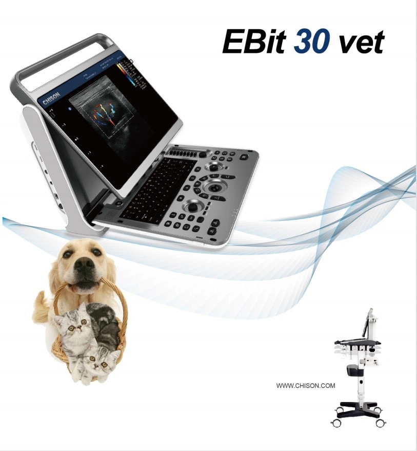 Chison EBIT 30 Doppler color digital de alta frecuencia para Vet