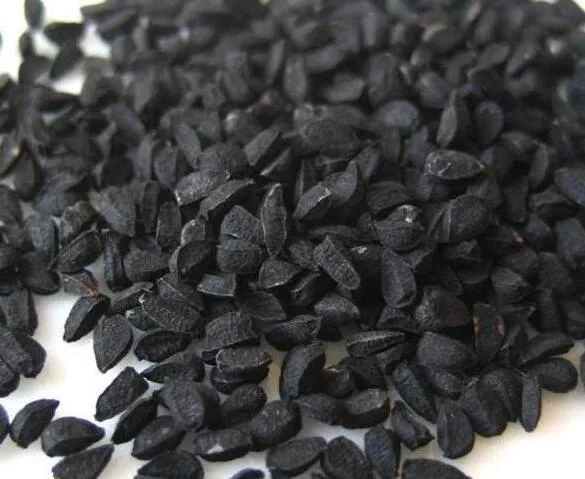 L010 Nigella Sativa semillas de Cumin Negro secas Naturales de buena calidad Para la venta