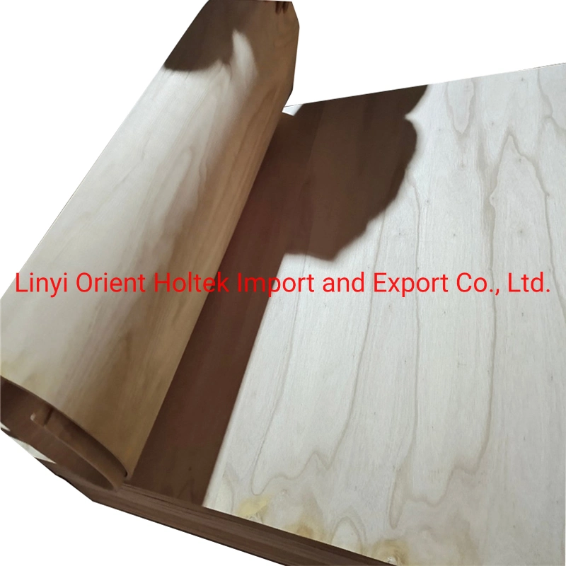 Best Price 6mm Flexible Plywood Bend Wood Sheet for Sale for Furniture