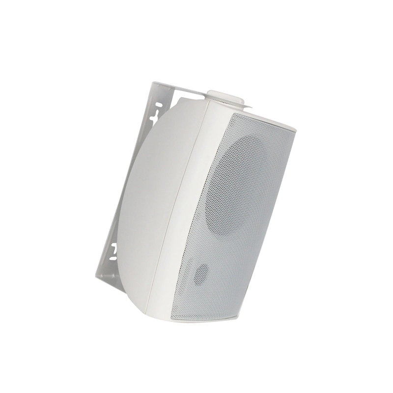 110V Input Voltage Passive Inwall Speakers with Sample Provided