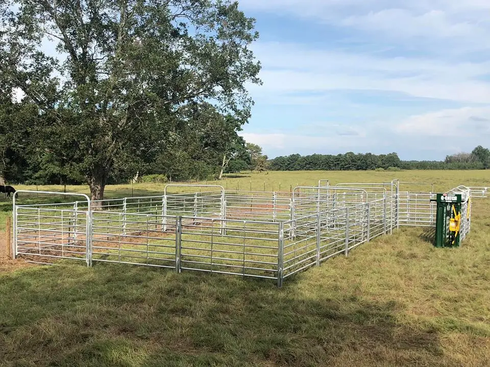 Campo ganadero de la rampa de la vaca valla valla metálica de instrumentos