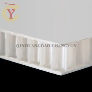 High Gloss FRP PP Honeycomb Sandwich Panel