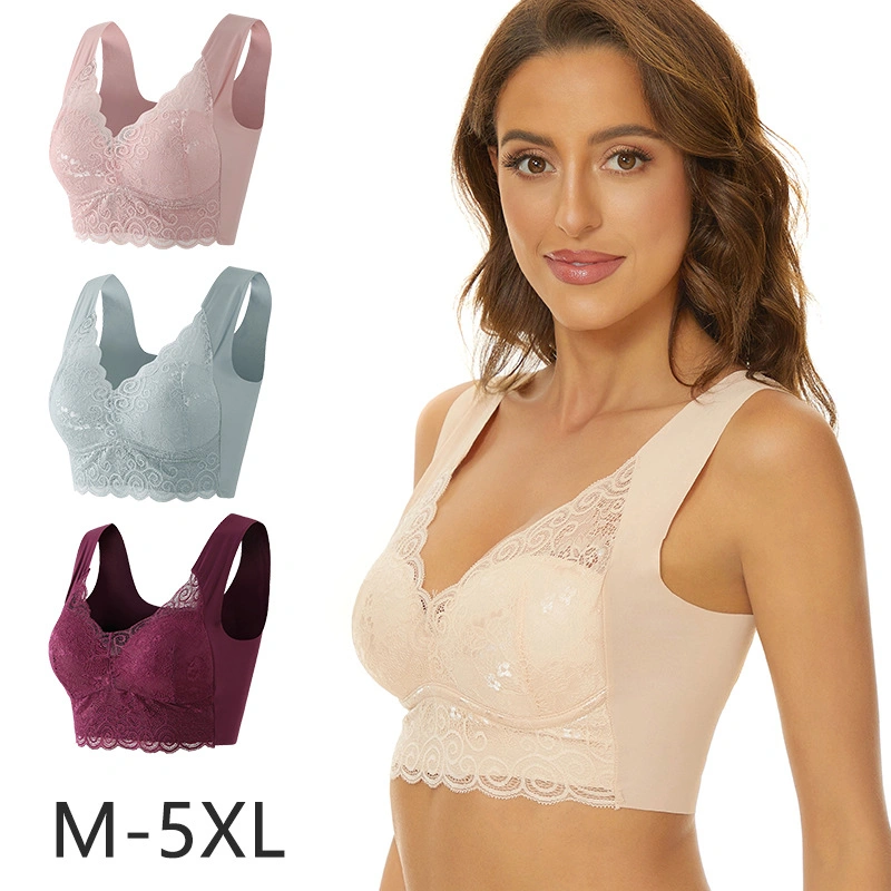 Wholesale/Supplier Plus-Size Lingerie for Women with Small Breast Push-up Bra