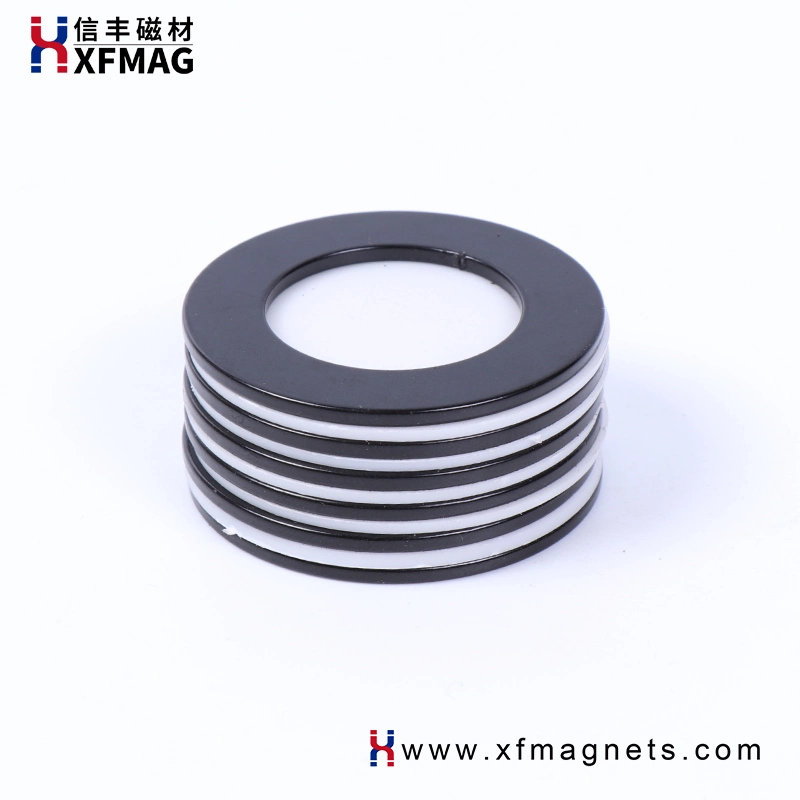 Neodymium Permanent Ring Four Magnetized Customized Epoxy Coated Strong NdFeB Magnet