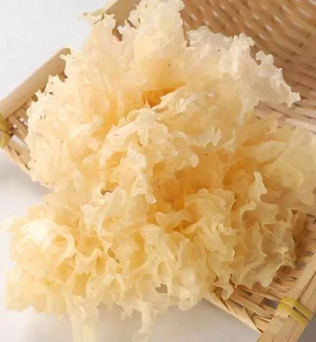 Dried Tremella Fuciformis Silver Ear Mushroom