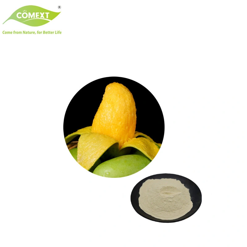 Comext Kalal Kosher Free Natural Plant Factory Fruit Juice Powder Mango Powder for Food Additives