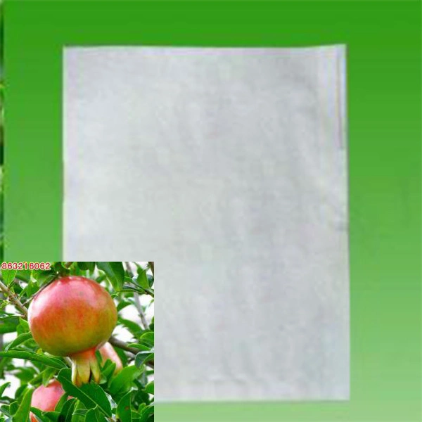 Eco Friendly pure du papier de pâte de bois de mangue Dragonfruit Apple goyave Sac Growth-Protected