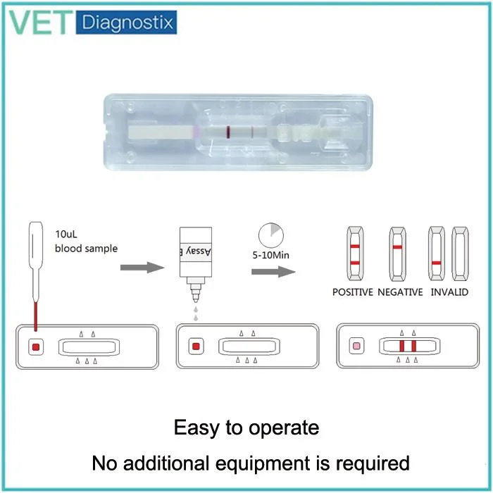 Ehrlichia Test Kit Canine Ehrlichiose Antikörper Schnelltest-Kit