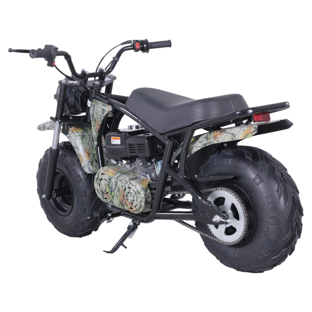 Tao Motor 200cc Mini Moto Motorcycle Dirt Bike