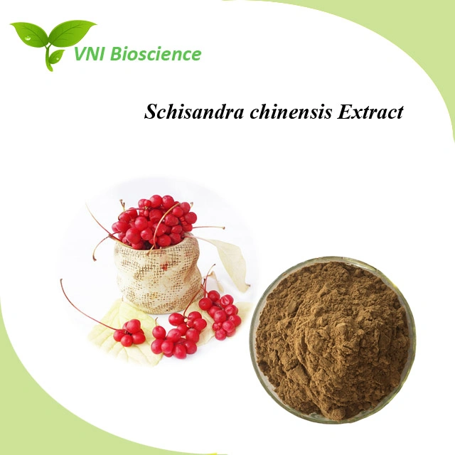 Kosher Halal Certified 100% Natural 1% Schizandrin Schisandra Chinensis Extract