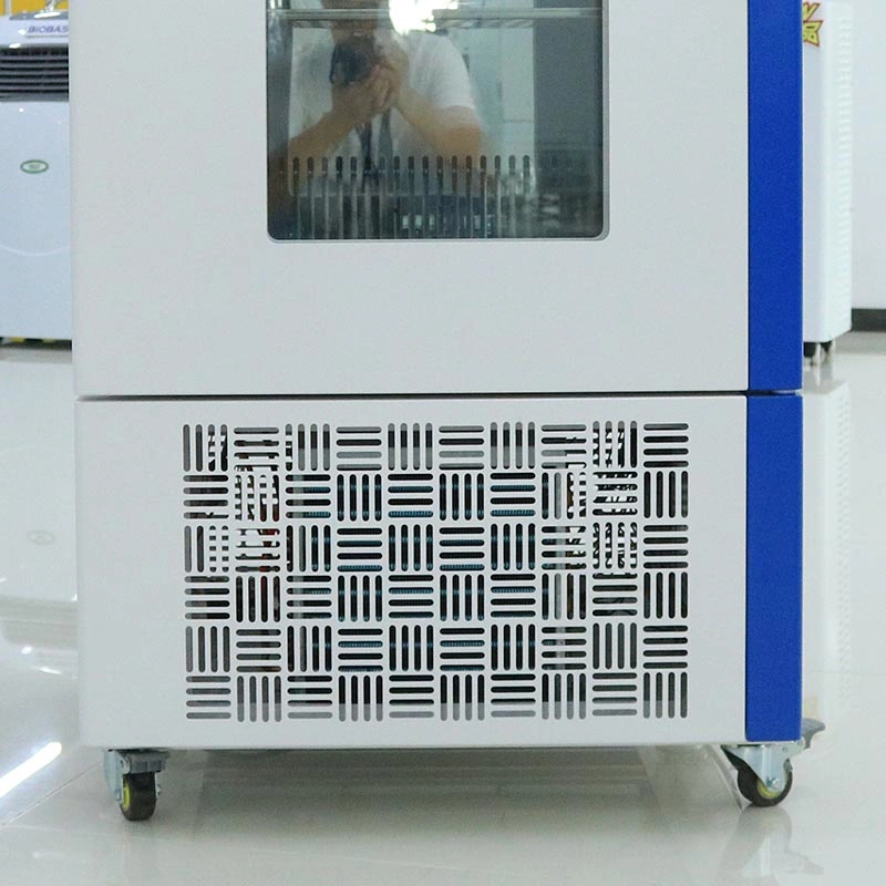 Biobase Manufacturer Mould Incubator for Medical Use