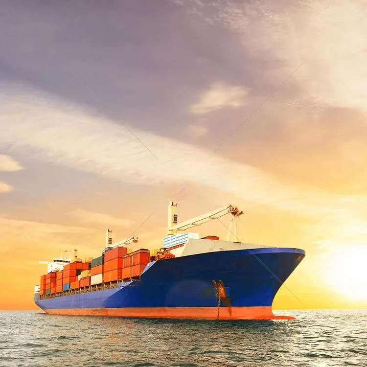 2022 Reliable Professional Sea Shipping Agent From China to The World