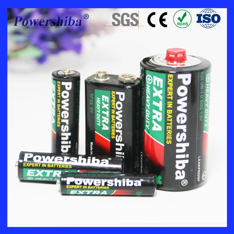 IEC Standard Powerful 1.5V Primary Double a Disposal Battery for Toys