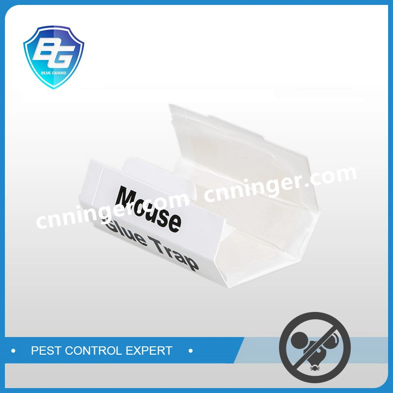 Big Paper Rat and Mouse Glue Traps for USA Market