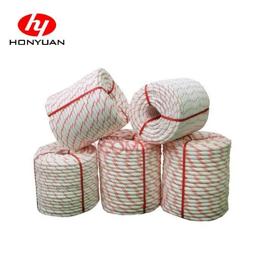 2mm-20mm 3/4 Strands PP /PE/ Nylon Monofilament Twisted Rope for Agriculture/Sea/Fishing/Packing