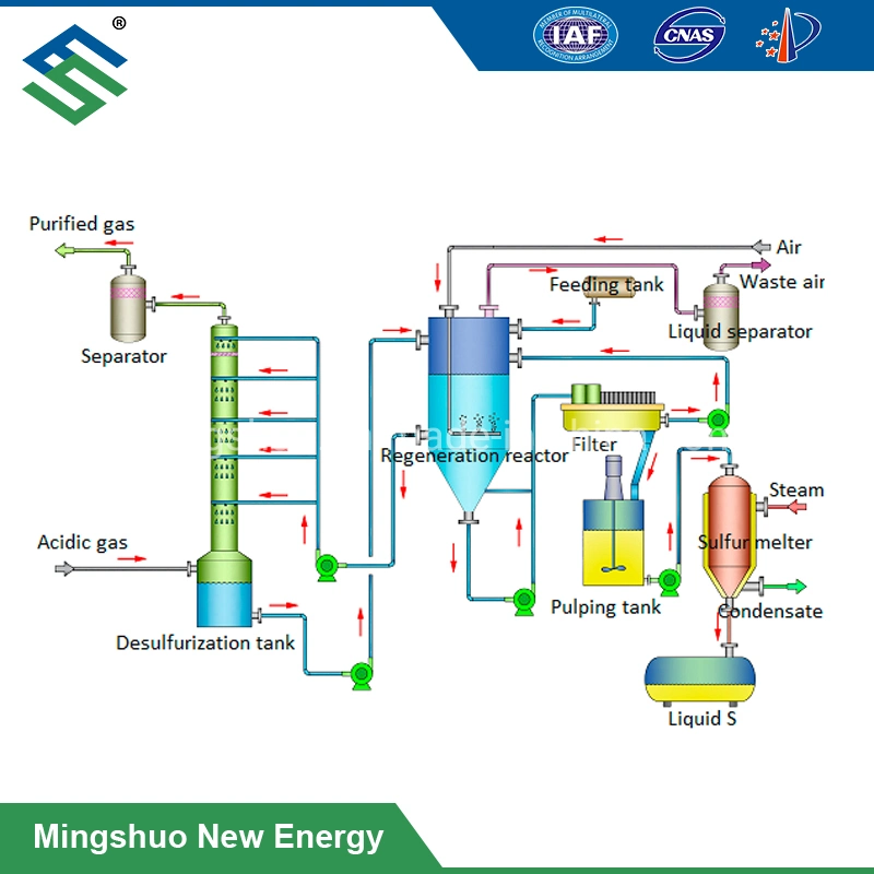 Dans le chélate de sulfure d'hydrogène régénératrice épurateur pour projet de biogaz