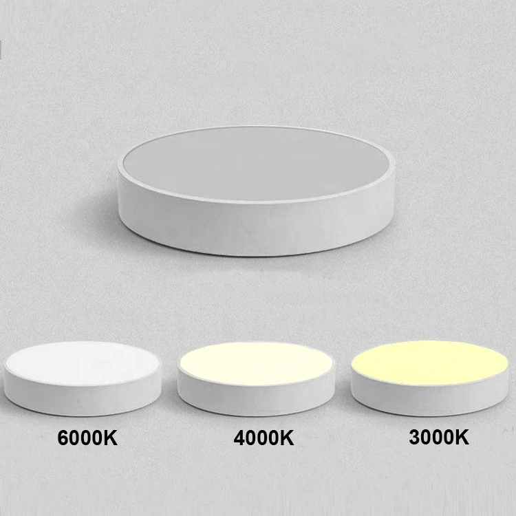 Colorful Cute Round Panel LED Ceiling Light for Kids Room Dali-2 Dt6/Dt8