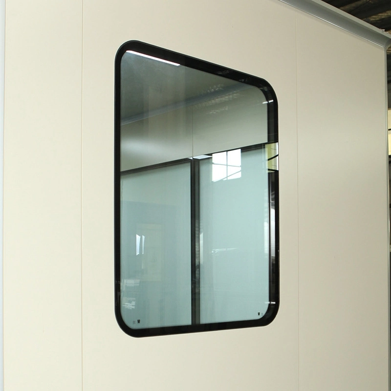 GMP Standard Cleanroom Purification Window for Clean Room