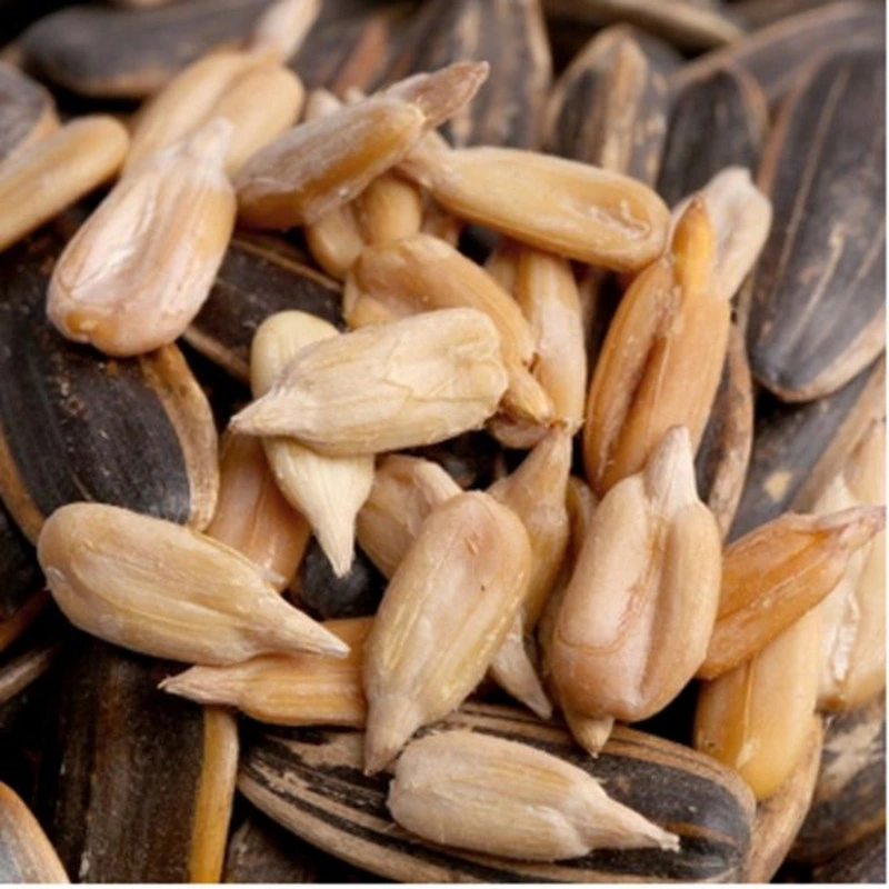 Wholesale/Supplier Cheap Price Roasted Honey Walnut Flavor Sunflower Seeds