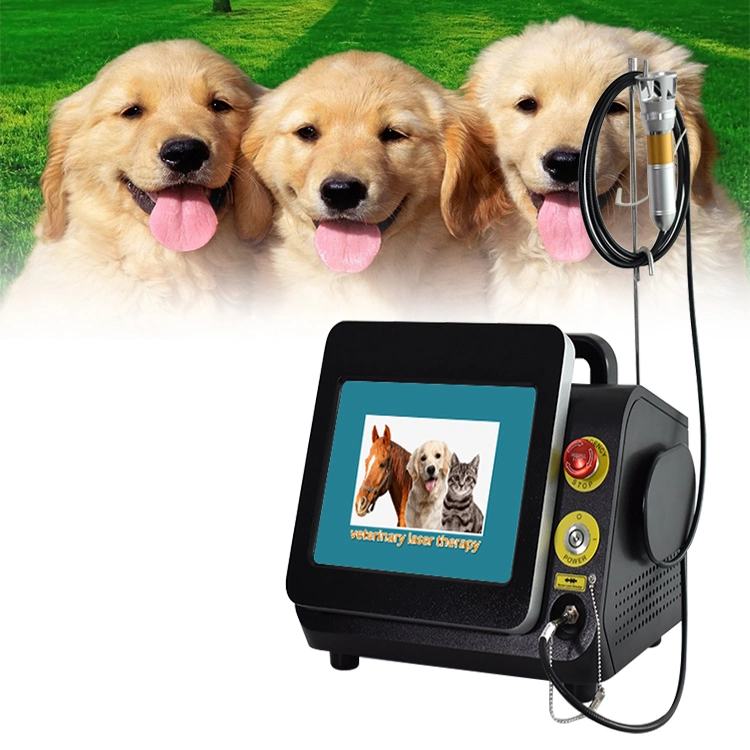 Portable non invasive Animal thérapie physique élimination de la douleur thérapie physique Laser 980nm