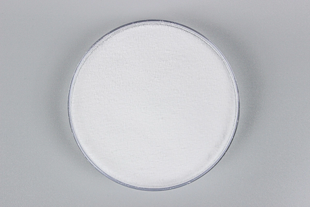 China Supplier DCP Dicalcium Phosphate Food and Feed Grade