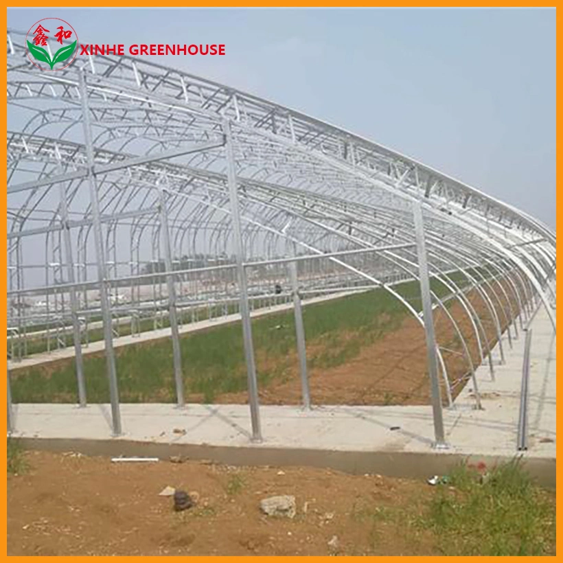 Multi Span Plastic Film Greenhouse for Peppers Planting