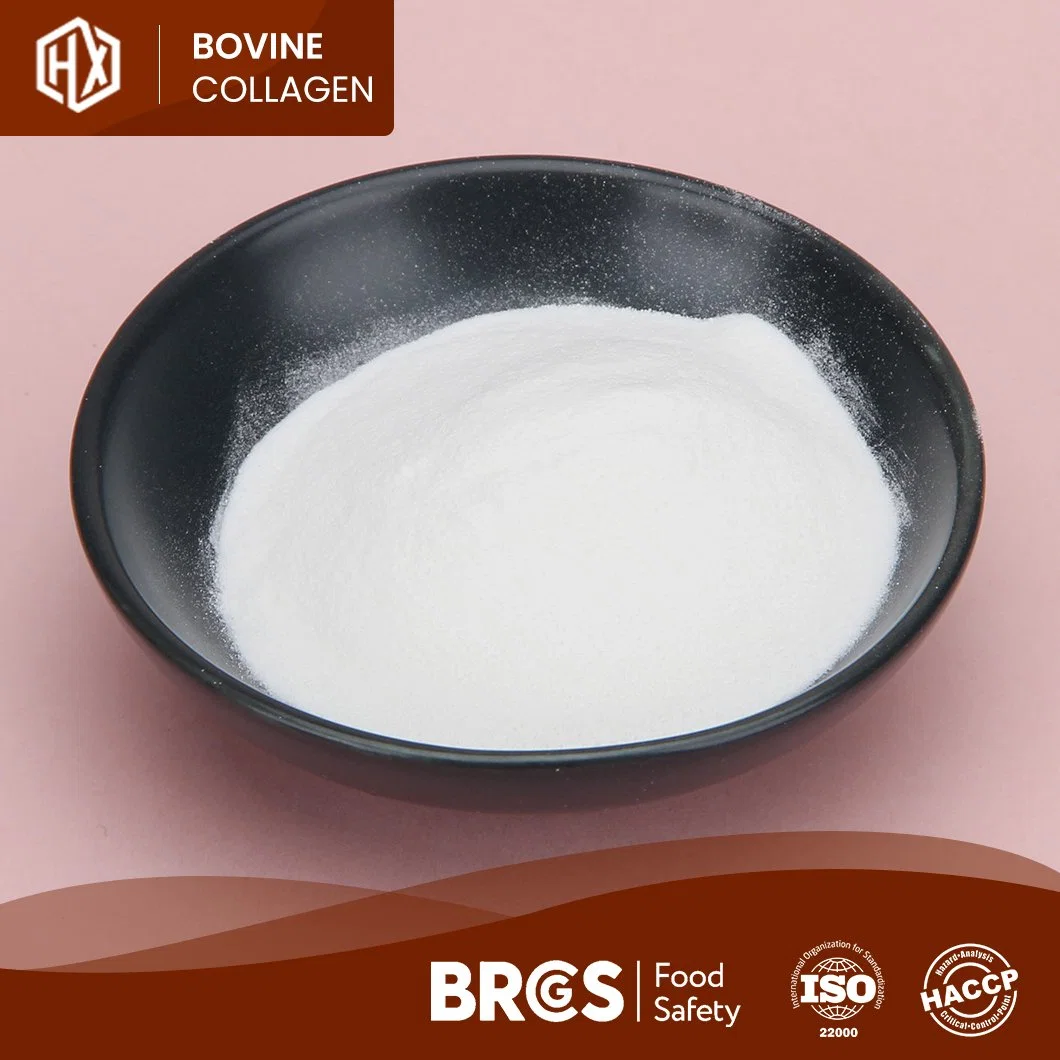 Haoxiang Wholesale/Supplier Trade Bovine Hides Collagen Ingredients High-Quality Bovine Hide Collagen Peptides China Supplier Free Sample Flavoured Collagen Powder