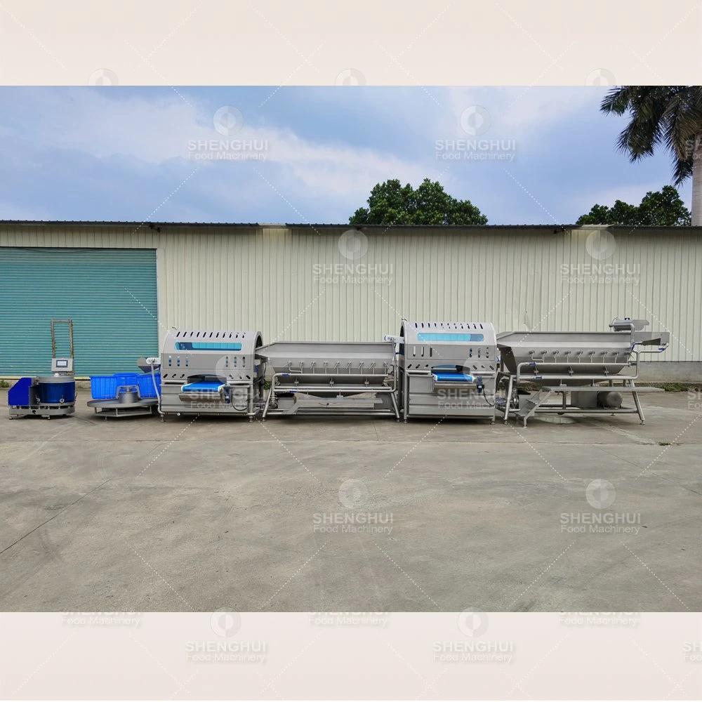 Automatic Brocoli Washing Machine Salad Cleaning Equipment Vegetable Processing Line Equipment