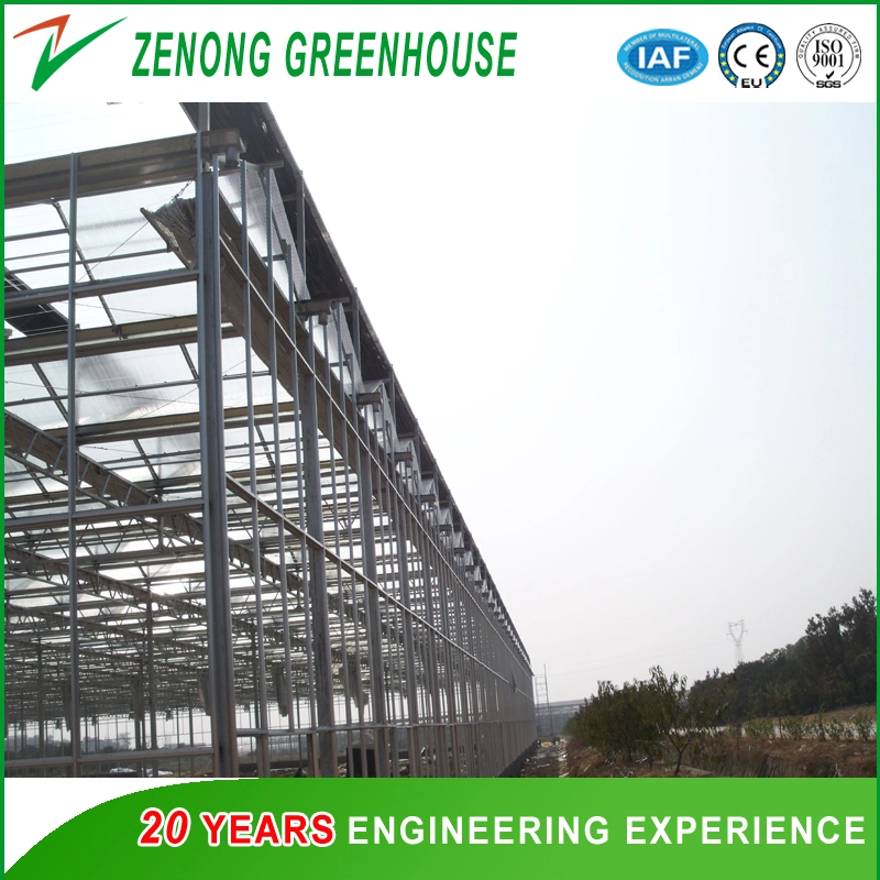 Galvanized Steel Frame Structured Building Material for Greenhouse