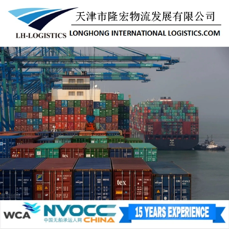 Niedrigste Versandkosten Fracht Aus China International Sea Freight Shipping Company Import Zollabfertigung / Lagerdienste 1688